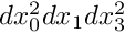 $ dx_0^2dx_1dx_3^2 $